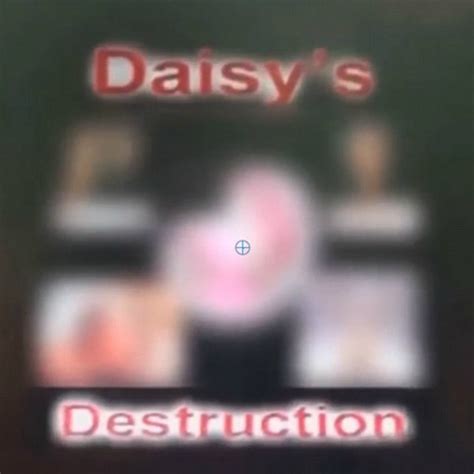 daysi destruction twitter|daisy's destruction review.